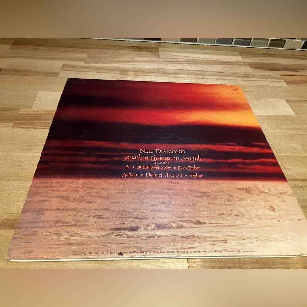 Neil Diamond vinyl record, Jonathon Livingston Seagull album, excellent shape - Picture 5 of 5